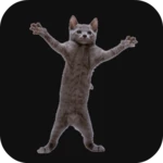 Logo of Dancing Cat android Application 