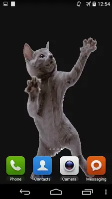 Dancing Cat android App screenshot 1