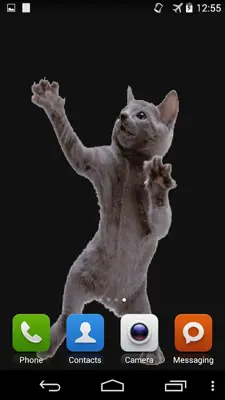 Dancing Cat android App screenshot 2